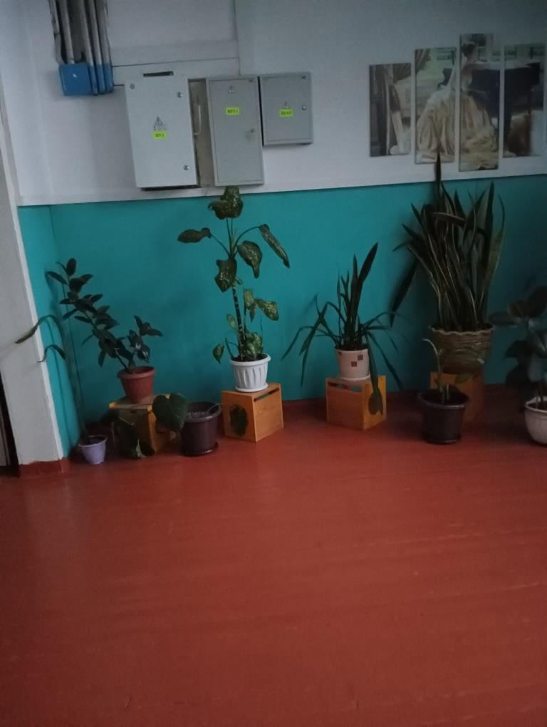 В школе много цветов
